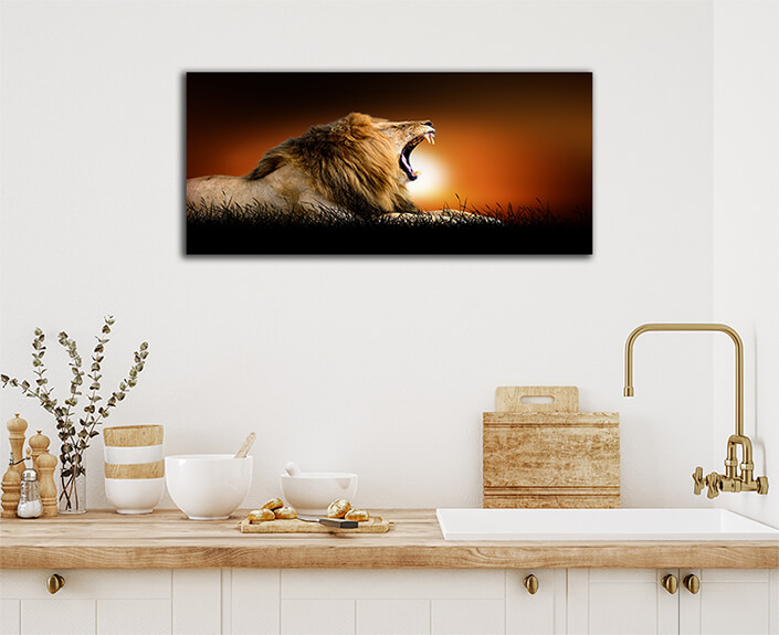 WEB003 0009 ML 0023 22639448 lion on the background of sunset AOAY5547