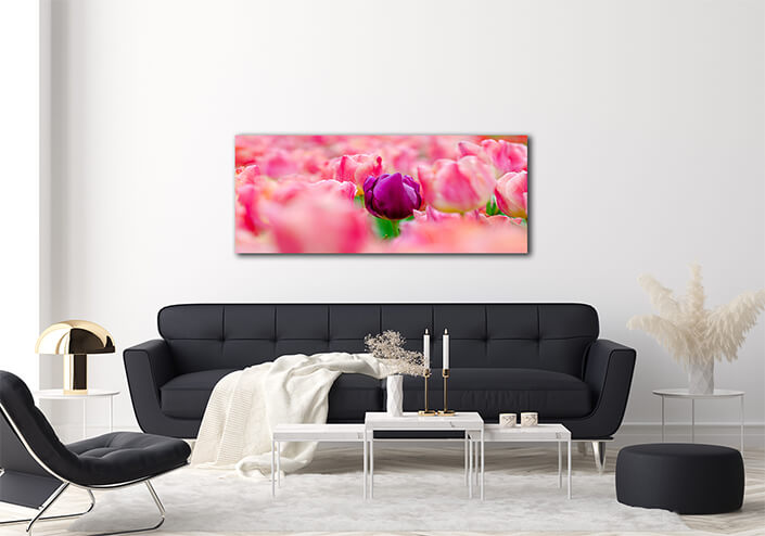 WEB003 0009 ML 0026 27915478 the red yellow tulip fields are densely blooming AOAY5627