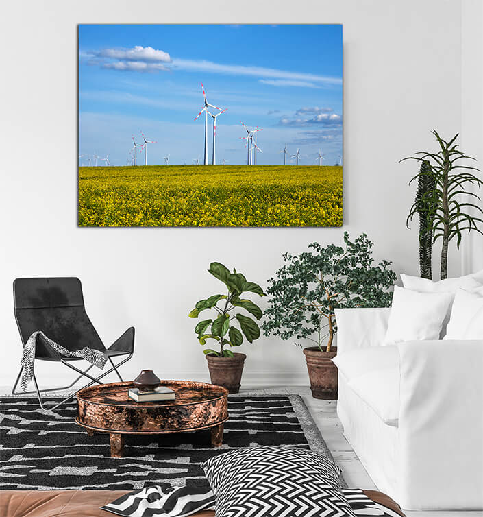 WEB003 0009 MP 0014 31043920 flowering canola field with wind energy generators AOAY7375