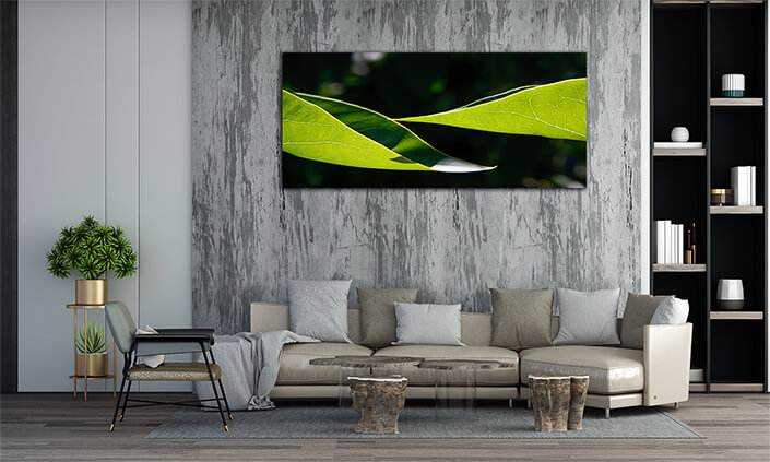 WEB003 0009 MP 0067 1959813 two leaves AOAY6345