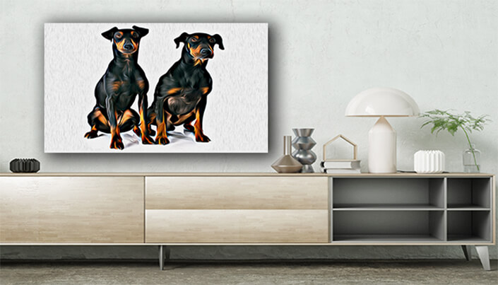 WEB003 0010 ML 0023 13275896 TWO manchester terriers dogs AOAY8116
