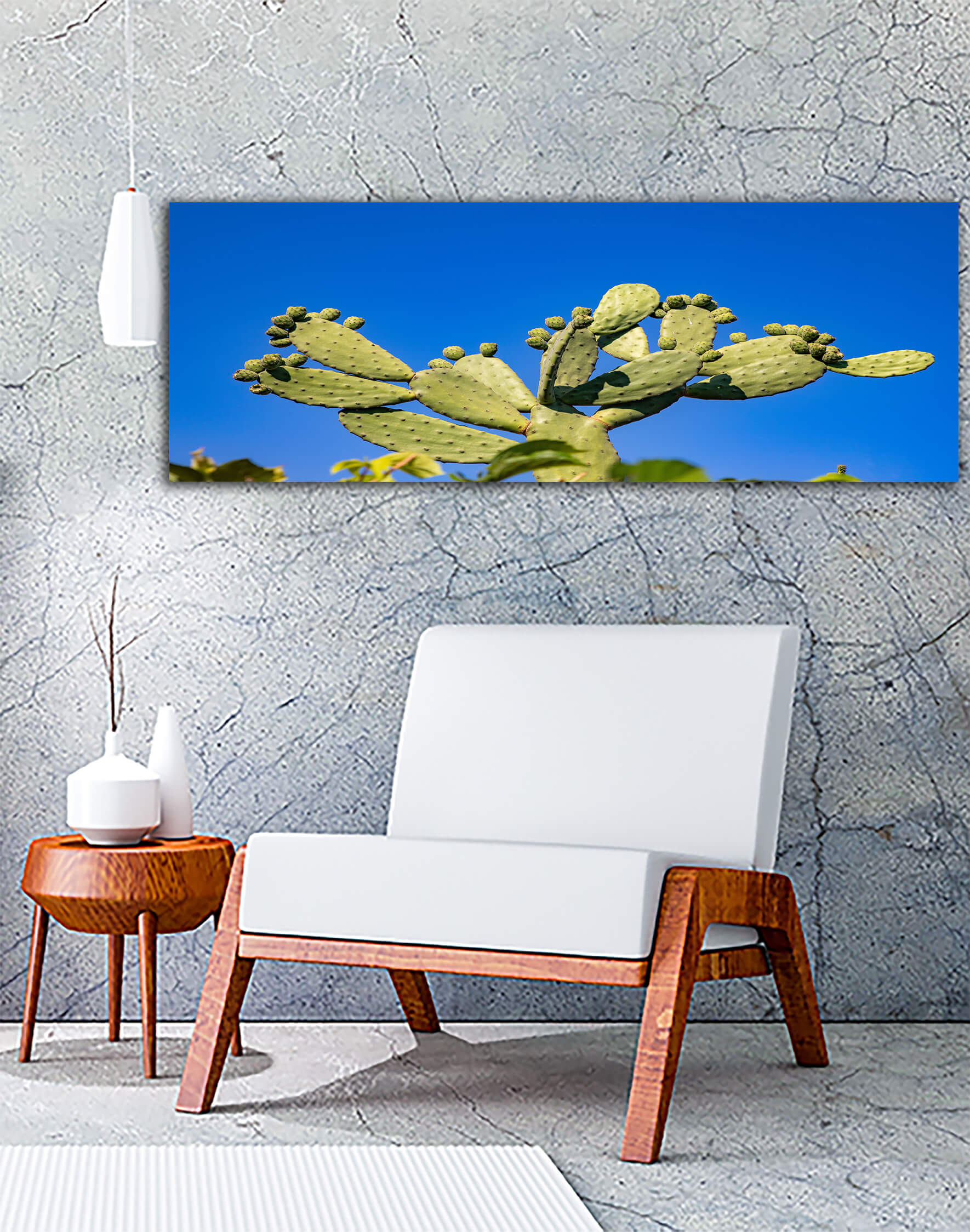 WEB003 0011 ML 0010 46992824 green desert cactus bush on blue sky background AOAY4821