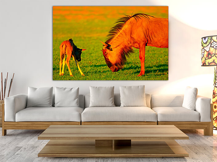 WEB003_0014_MOCKUP__0008_45478590_The wildebeest-with-young-calf AOAY3375