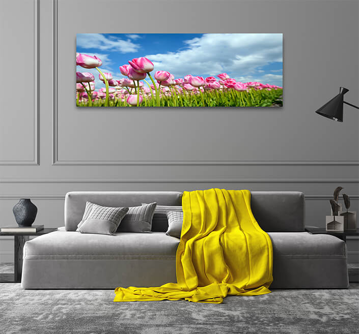 WEB003 0015 ML 0020 9076916 many pink tulips on field AOAY7454