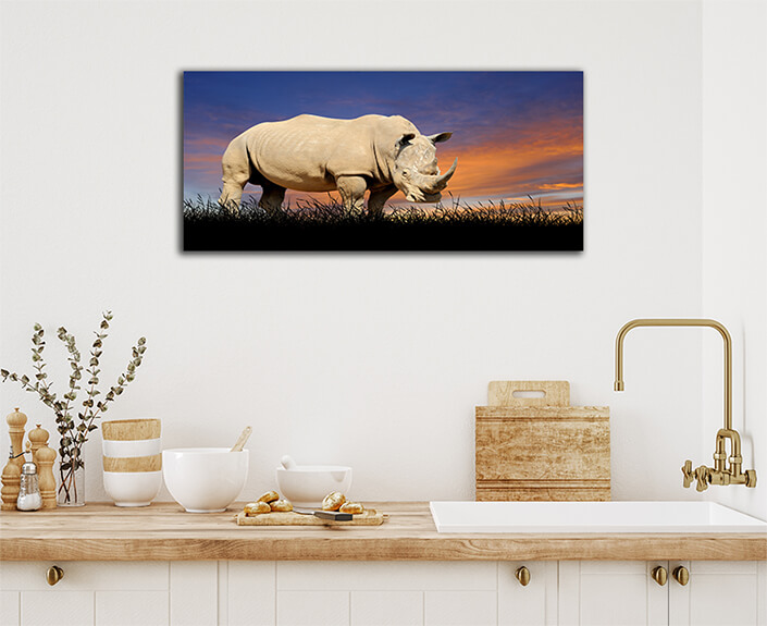 WEB003 0016 ML 0016 22639478 The Rhino on the background of sunset sky AOAY5554