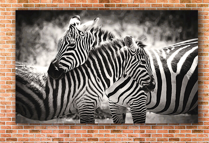 WEB003_0017_MOCKUP__0016_22676434_Two zebra on grassland in africa AOAY8112