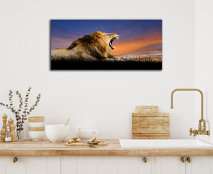 WEB003 0018 ML 0014 22639482 The lion on the background of sunset sky AOAY5556