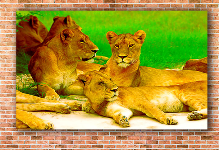 WEB003_0018_MOCKUP__0015_25454474_lion wild dangerous mammal africa savannah kenya AOAY5594