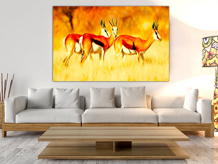 WEB003_0020_MOCKUP__0002_47627936_Three springbok-antelopes-in-grassland AOAY8110