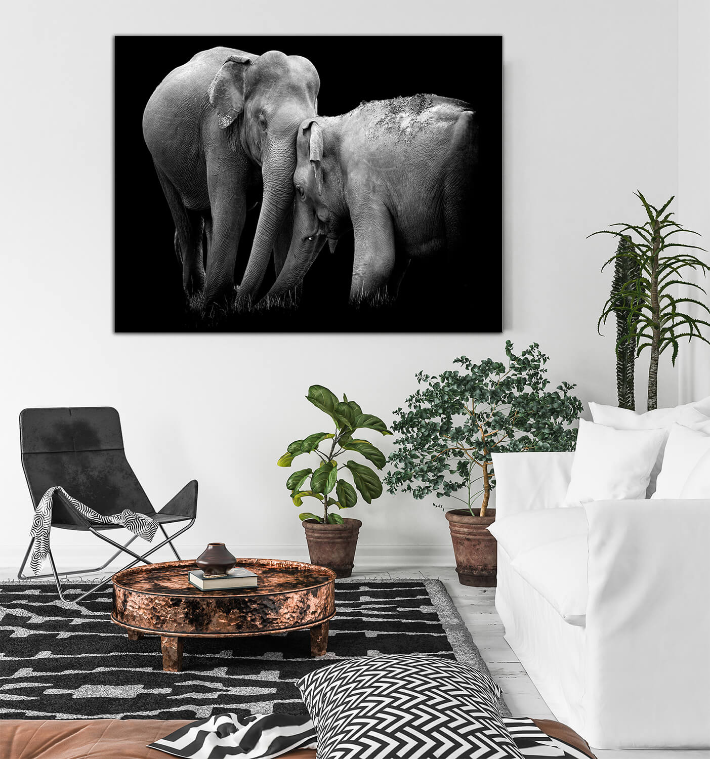 WEB003 0020 MP 0004 22503956 elephant on dark background AOAY5528