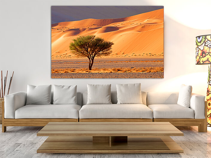 WEB003_0021_MOCKUP__0001_45478594_desert-landscape-with-tree-namibia AOAY4767