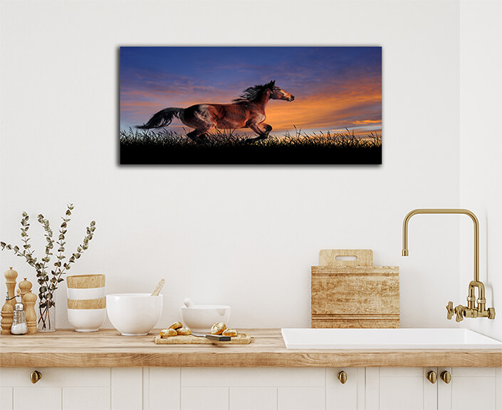 WEB003 0024 ML 0008 22639492 The horse on the background of sunset sky AOAY5560