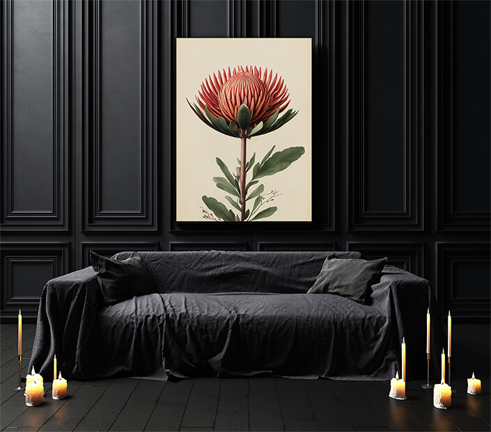 WEB003 0024 ML 0054 49132434 artistic illustration of the red protea flower AOAY8185