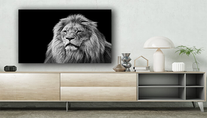 WEB003 0029 ML 0004 art 0010 9799376 B&W lion portrait on black ART AOAY8144