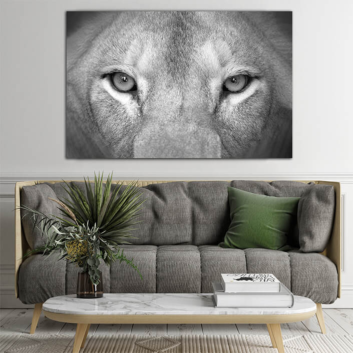 Web003 0029 ml 0006 art 0005 27965766 female lion eyes close up aoay8149