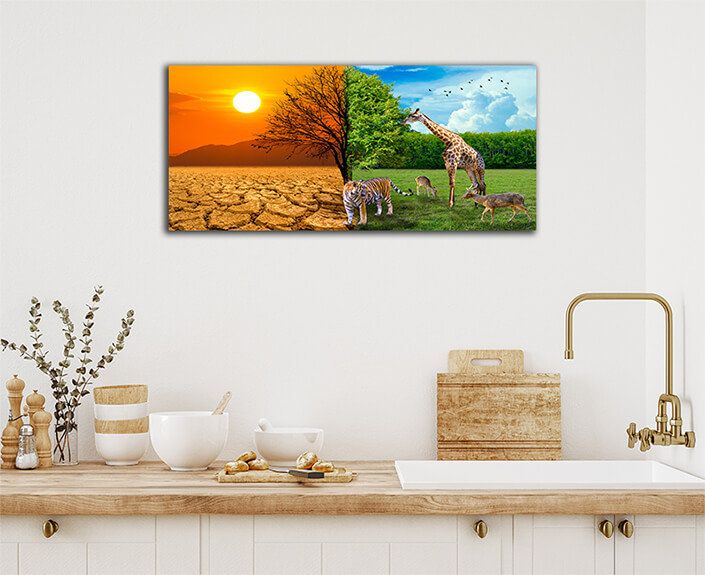 WEB003 0032 ML 0036 29862870 drought and forest where the wildlife is living global warming concept AOAY5636