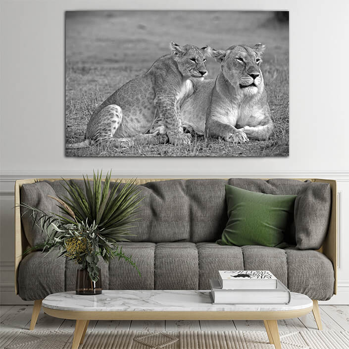 WEB003 0032 ML 0002 1043973 lioness and cub AOAY7743