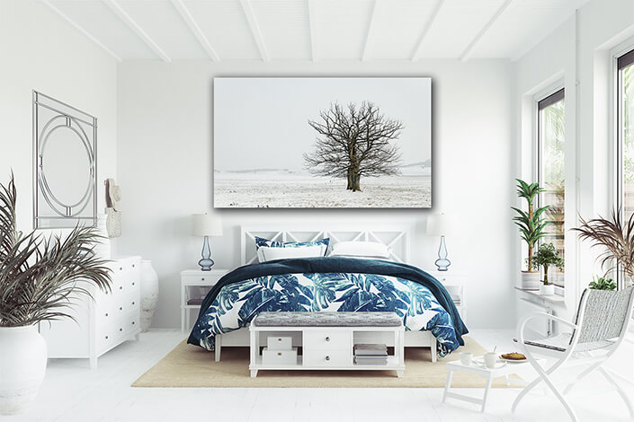 WEB003 0032 MP 0055 1526908 single tree in snow AOAY7266