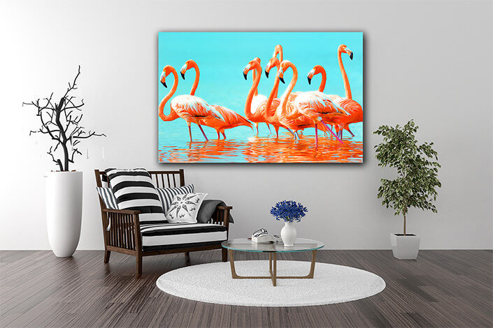 WEB003 0032 MP 0037 9072288 Lots of greater flamingos Art AOAY8127