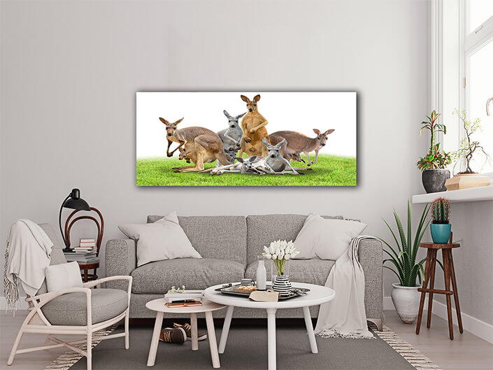 WEB003_0033_ML_0051_20990846_group of kangaroo on green grass AOAY6393