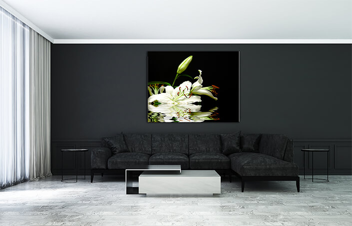 WEB003 0033 MS 0035 1292670 white flowers and reflexion AOAY7782