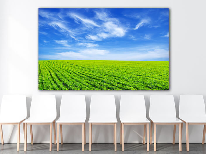 WEB003 0034 MOCKUP 0049 5729188 field AOAY7658