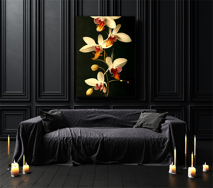 WEB003 0040 ML 0038 49132548 artistic illustration of the colorful orchid flower AOAY8201