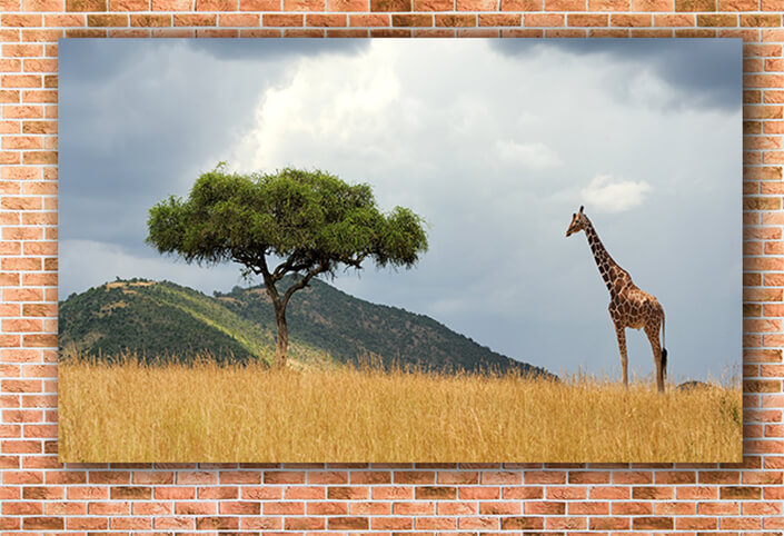 WEB003_0040_MOCKUP__0044_22505236_landscape with tree in Africa (1) AOAY5541
