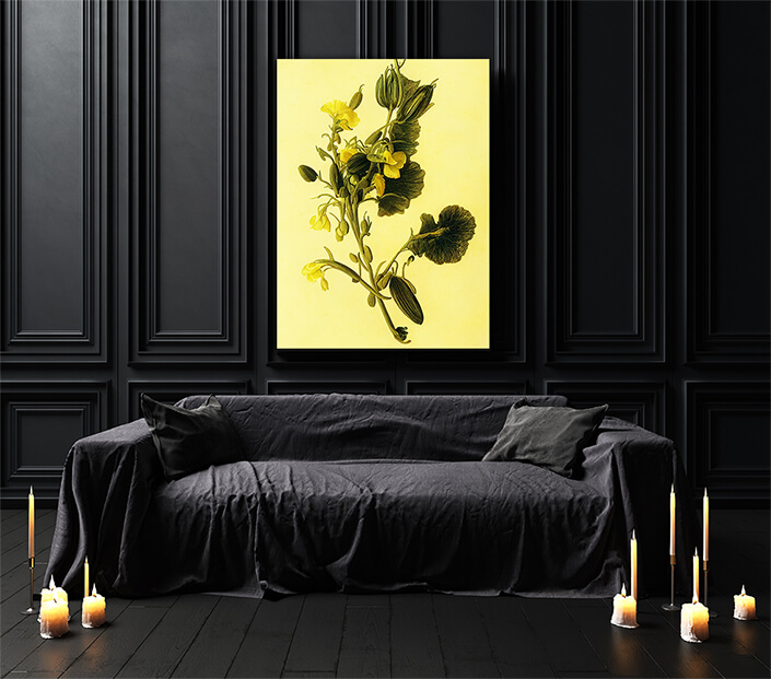 WEB003 0041 ML 0037 49132556 artistic illustration of yellow sweet pea flowers AOAY8202