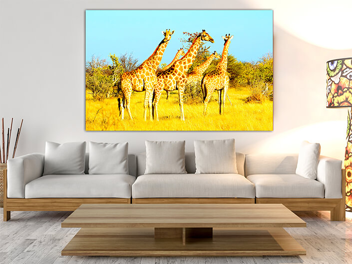 WEB003_0041_MOCKUP__0033_39409108_giraffes-in-natural-habitat-etosha-national-park AOAY4741