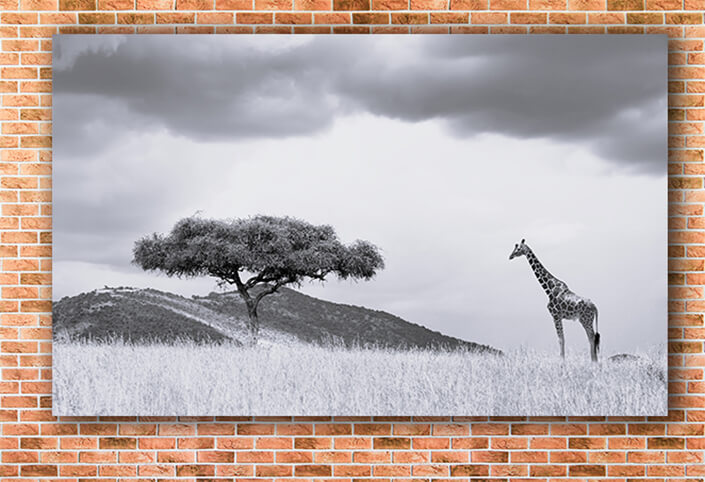 WEB003 0041 MOCKUP 0043 22505236 landscape with tree in Africa AOAY8838