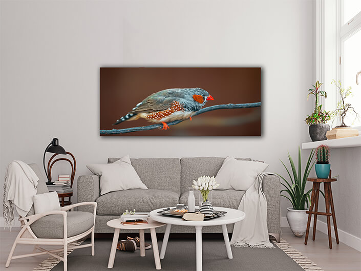 WEB003 0043 MP 0016 37202924 bird sits on a branch AOAY6021