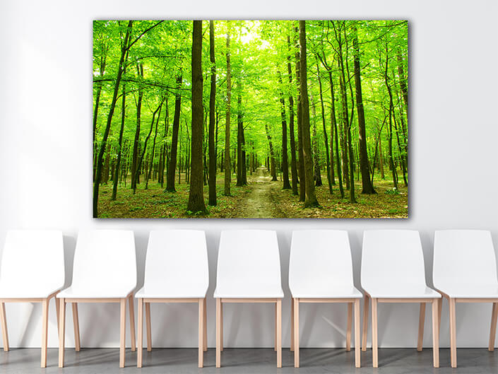 WEB003 0044 MOCKUP 0039 5750318 forest green trees AOAY7668