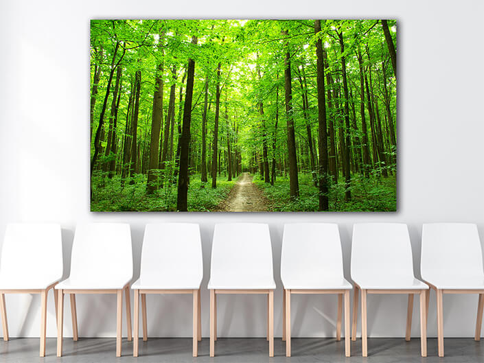WEB003_0046_MOCKUP_0037_5750416_green forest and road AOAY7670