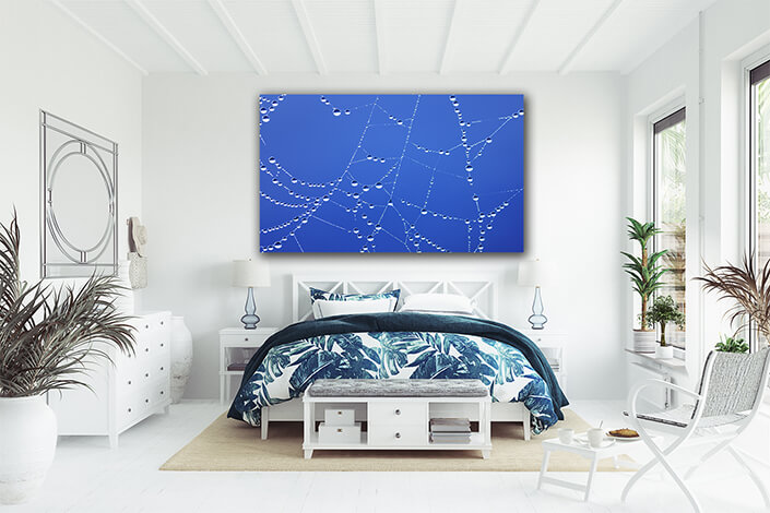 WEB003 0047 MP 0040 3762573 spiderweb AOAY7293