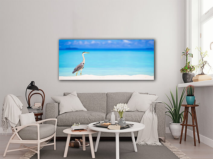 WEB003_0049_ML_0034_30477476_grey heron standing on white beach on tropical island in indiaan ocean AOAY6563