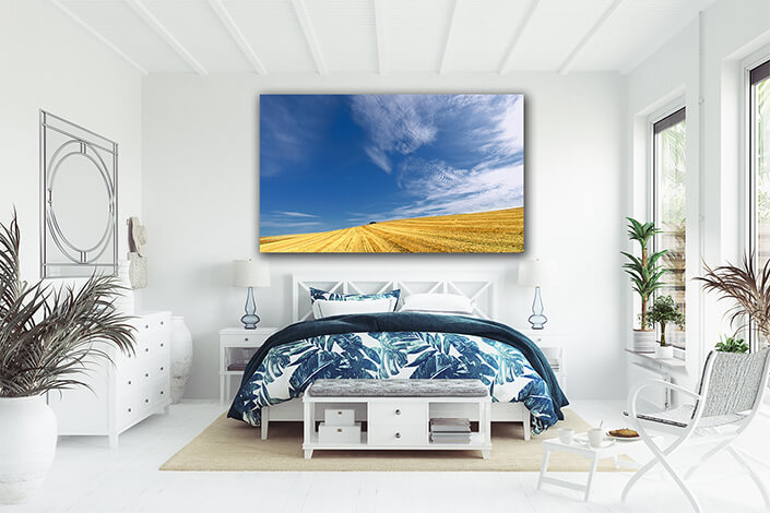 WEB003 0051 MP 0036 4014302 Nice field and sky landscape AOAY7297