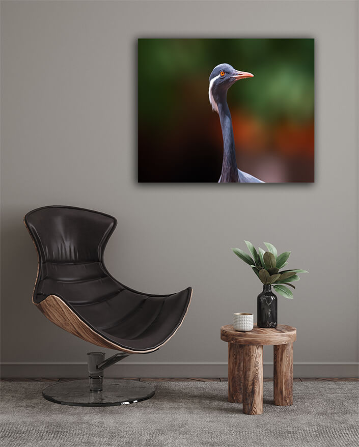 WEB003 0052 MOCKUPs 0020 37203172 heron observes nature and looks for food AOAY6032