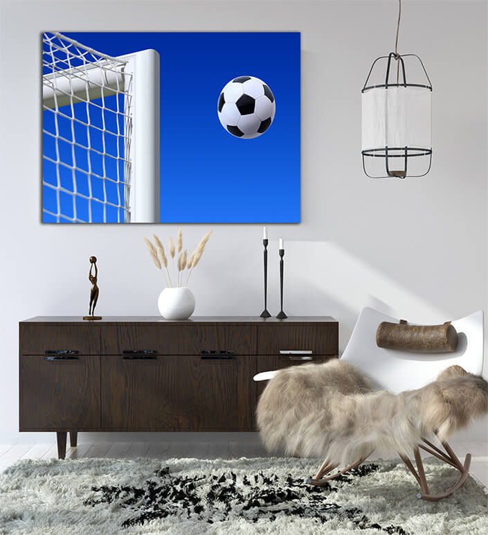 WEB004 0001 MS 0022 2830077 goal AND ball AOAY5086