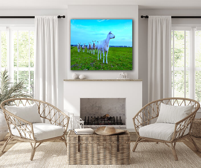 WEB004 0002 ML 0034 8744630 herd of sheep over blue sky AOAY7453