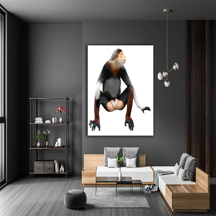 WEB004 0003 MP 0025 28076518 red shanked douc langur isolated on white background AOAY6447