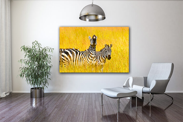 WEB004 0004 MOCKUP 0031 22675738 zebra AOAY5576