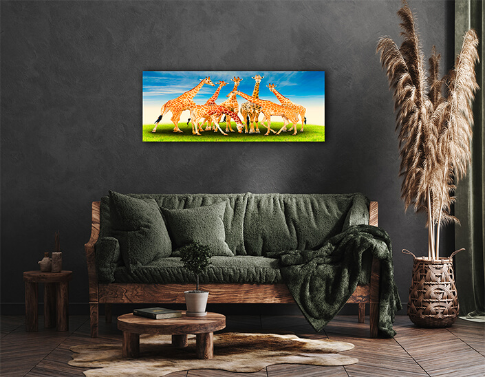 WEB004 0005 ML 0027 20990816 group of giraffe AOAY4627