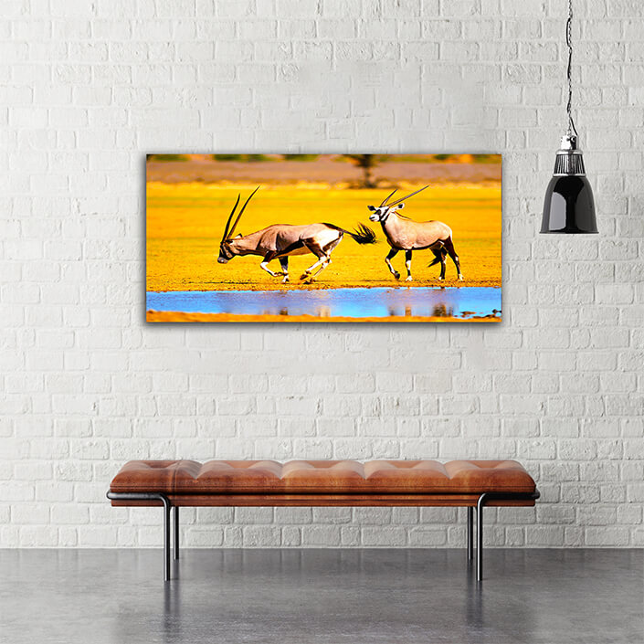 WEB004 0005 MOCKUP 0019 47035246 gemsbok antelopes at a waterhole AOAY4786