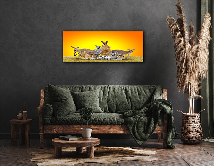 WEB004 0006 ML 0026 20990850 group of kangaroo AOAY4628