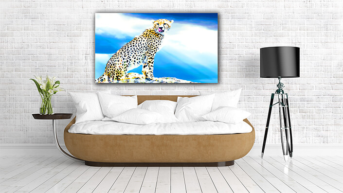 WEB004 0006 MP 0027 22676228 A wild African cheetah AOAY8128