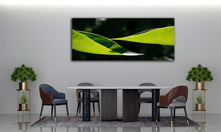 WEB004 0011 MP 0067 1959813 two leaves AOAY6345