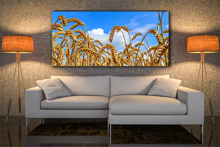 WEB004 0013 MOCKUP 0013 30831812 beautiful panorama of agricultural crop and wheat fields AOAY7712