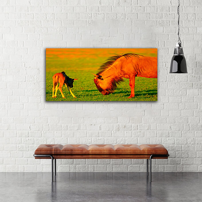 WEB004_0016_MOCKUP__0008_45478590_The wildebeest-with-young-calf AOAY3375