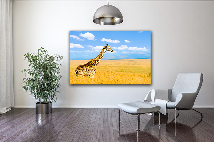 WEB004_0017_MOCKUP__0017_22676450_giraffe on savannah in africa AOAY5592